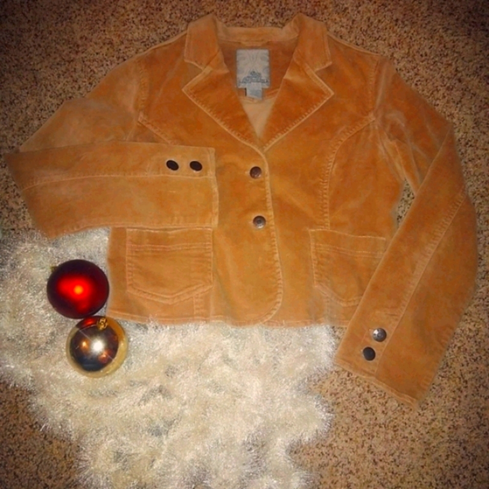 BB Dakota velvet blazer